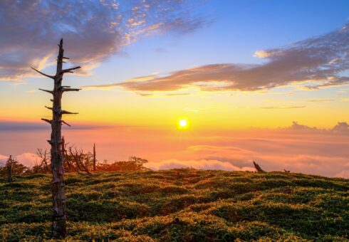 登山と僕