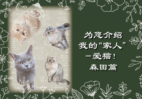为您介绍我的“家人”——爱猫！森田篇