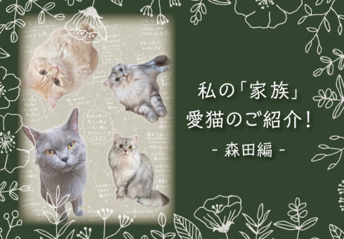 私の「家族」愛猫のご紹介！ 森田編 